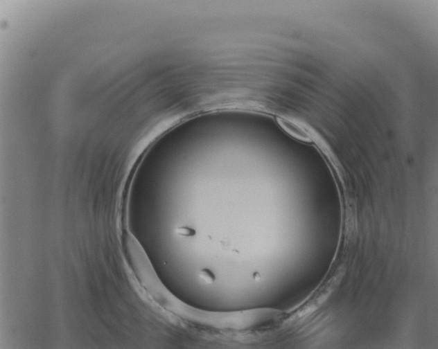 X0000062860957200601201725