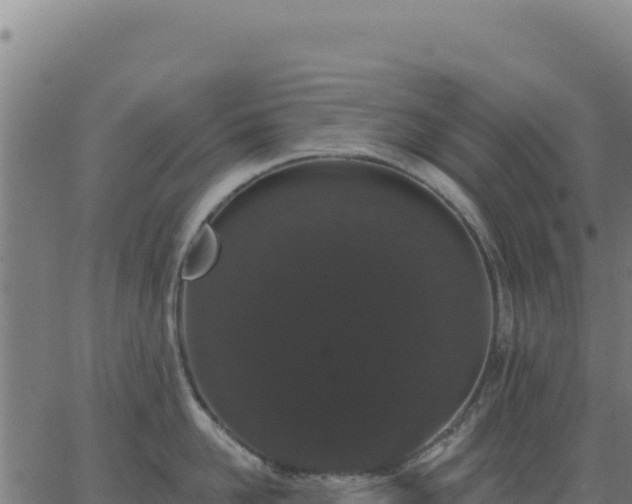 X0000062860958200601201725