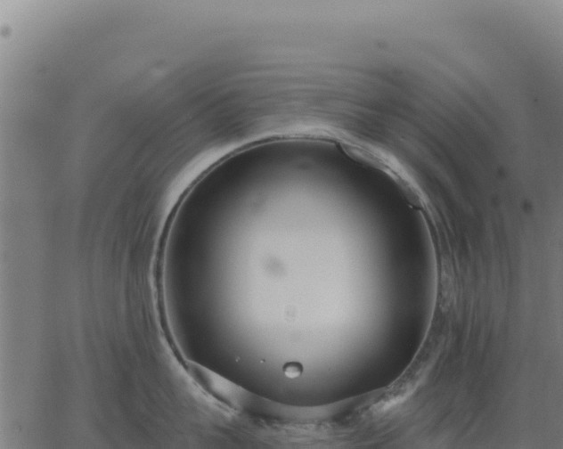 X0000062860959200601201725