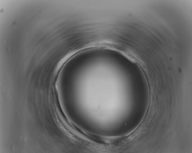 X0000062860960200601201725