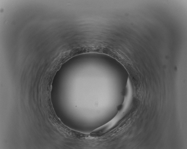 X0000062860961200601201725