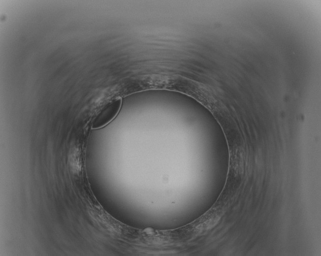 X0000062860962200601201725