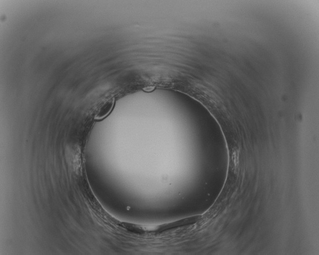 X0000062860963200601201725