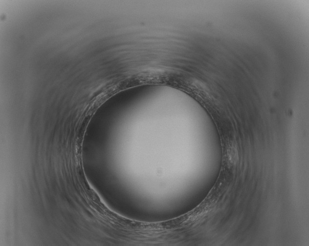 X0000062860964200601201725