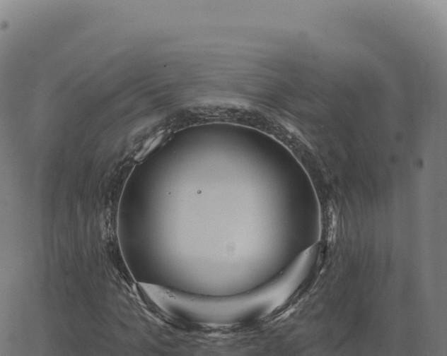 X0000062860965200601201725