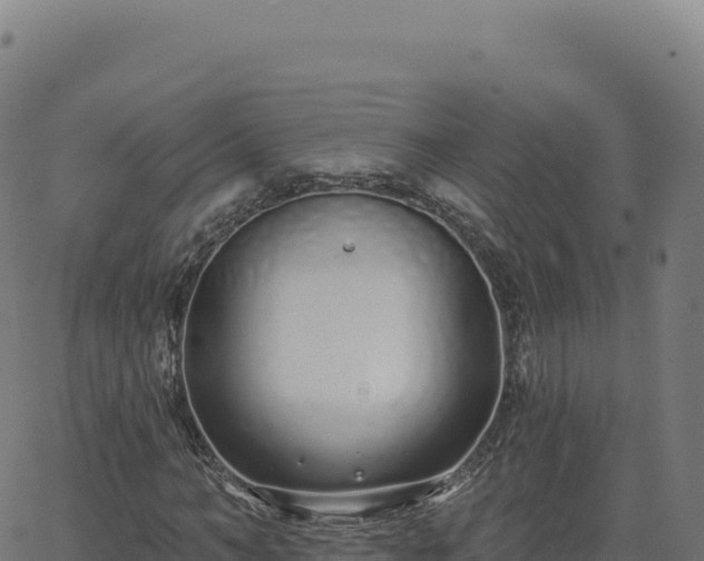 X0000062860966200601201725