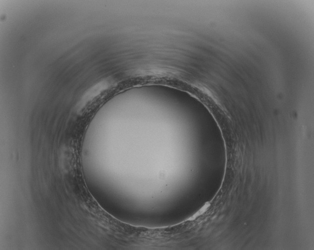 X0000062860967200601201725