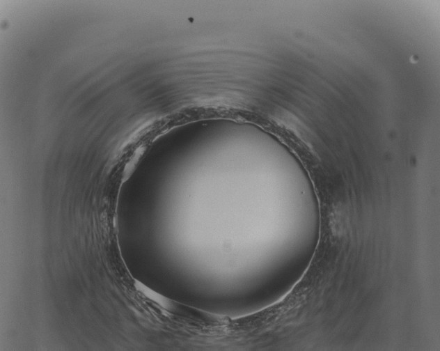 X0000062860968200601201725