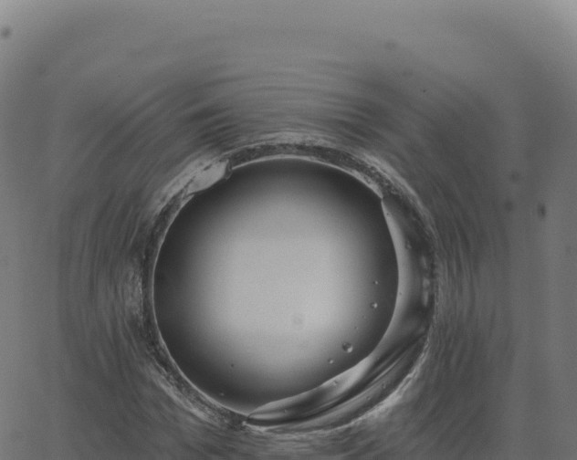 X0000062860969200601201725