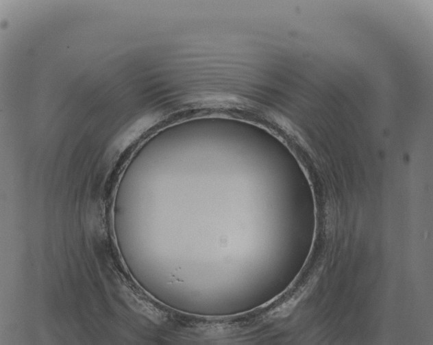 X0000062860970200601201724