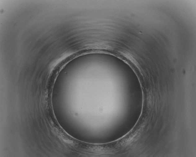 X0000062860971200601201724