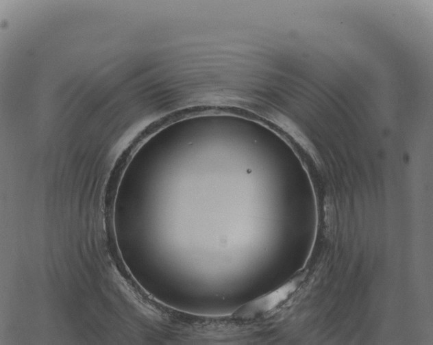 X0000062860972200601201724