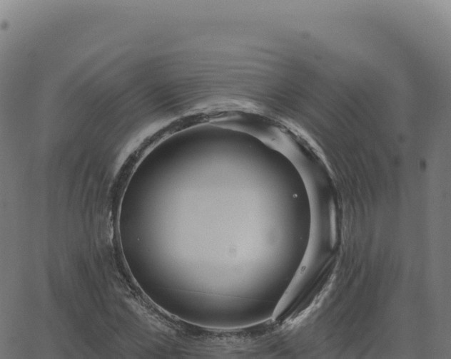 X0000062860973200601201724