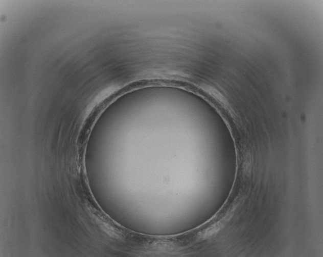 X0000062860974200601201724