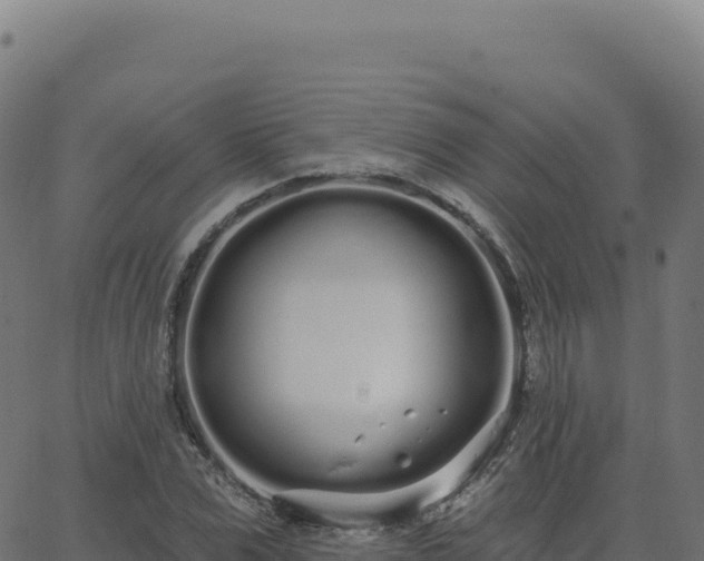 X0000062860975200601201724