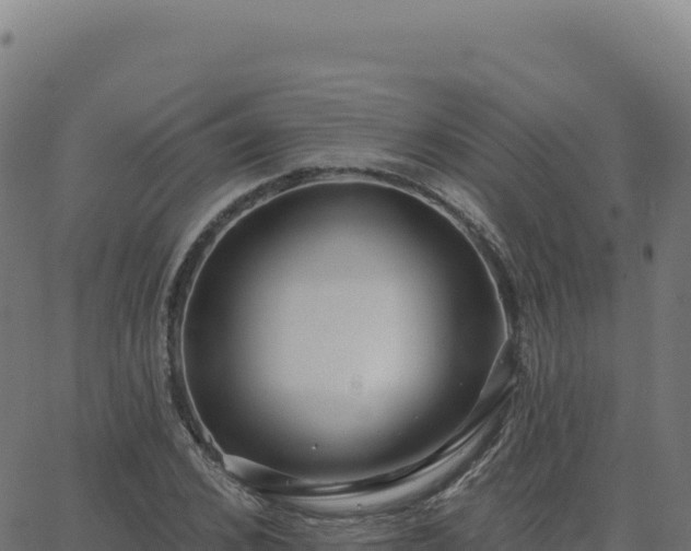 X0000062860976200601201724