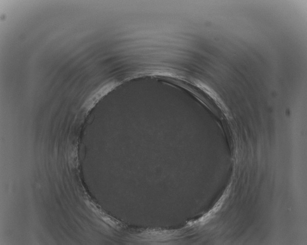 X0000062860977200601201724