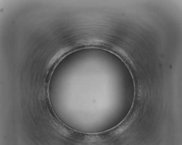 X0000062860978200601201724