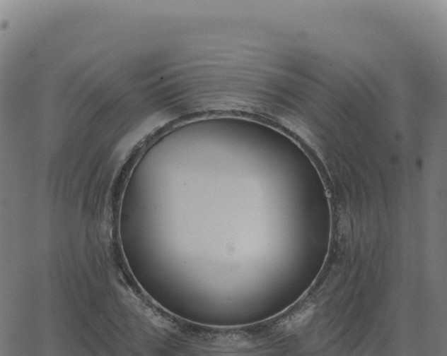 X0000062860979200601201724