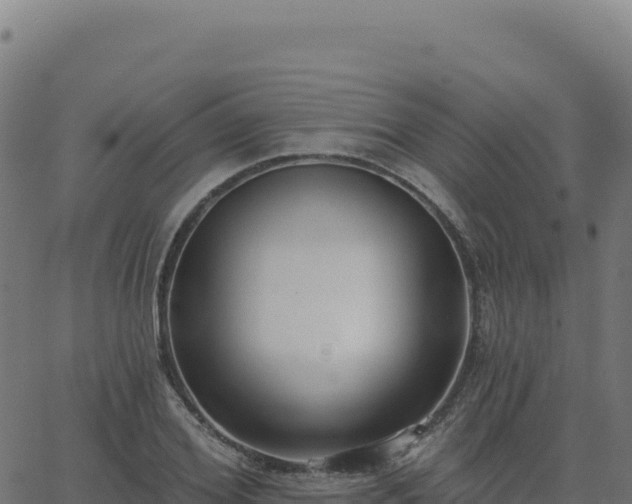 X0000062860980200601201724