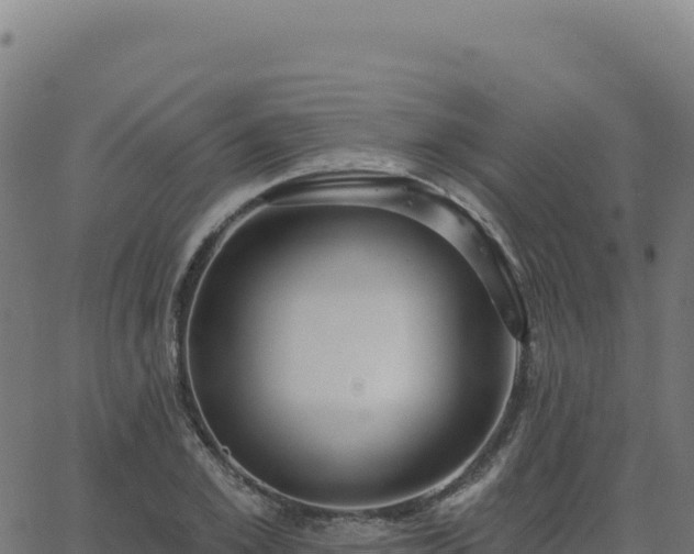 X0000062860981200601201724