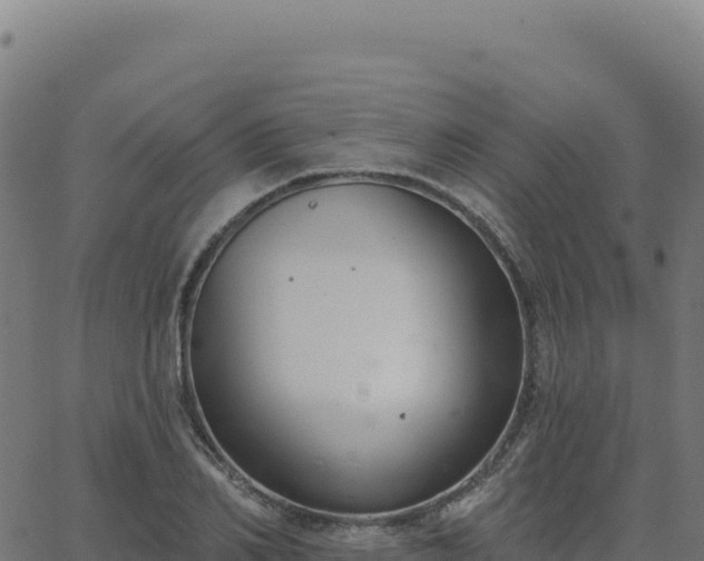 X0000062860982200601201724