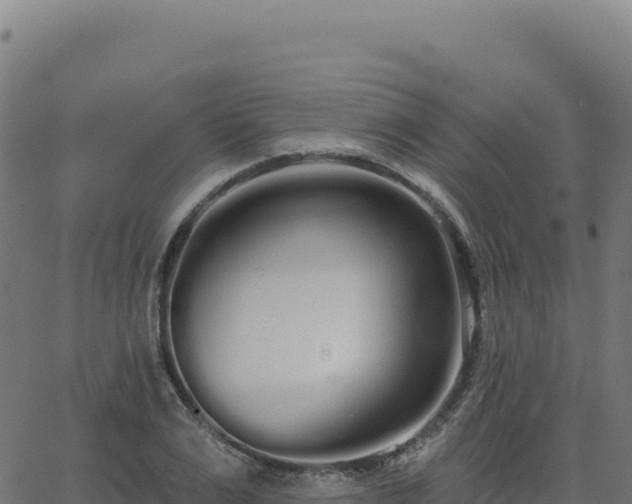 X0000062860983200601201724