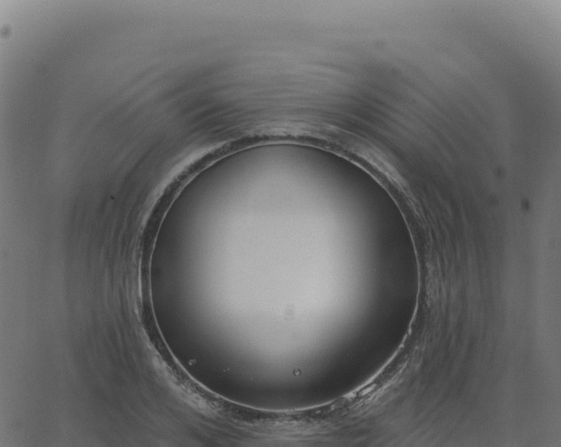 X0000062860984200601201724