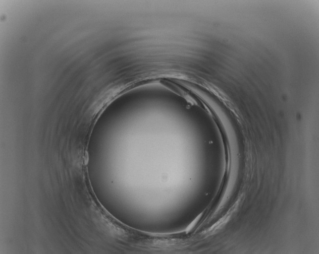 X0000062860985200601201724