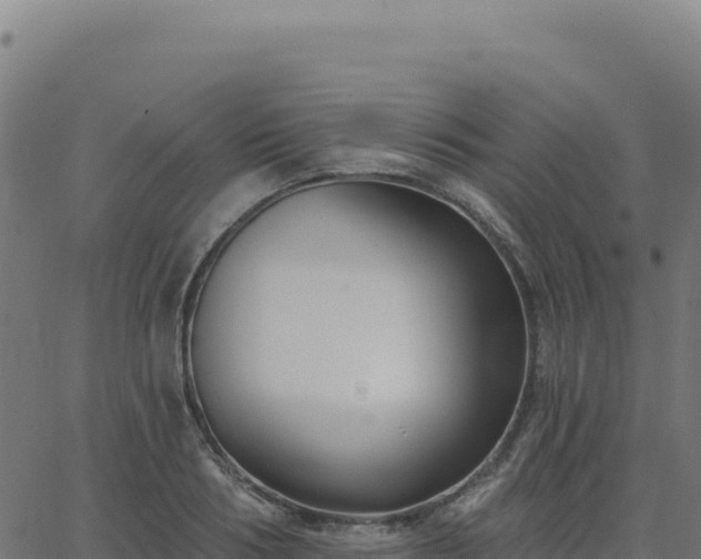 X0000062860986200601201724