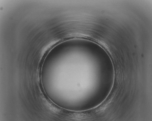 X0000062860987200601201724