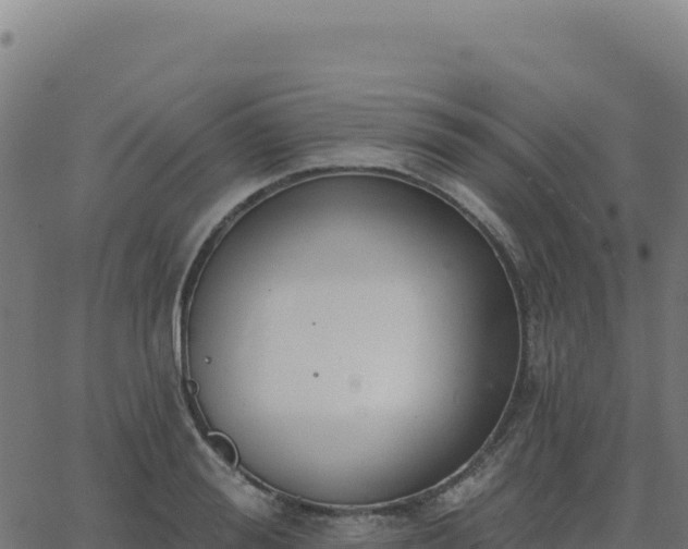 X0000062860988200601201724