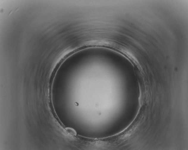 X0000062860992200601201724