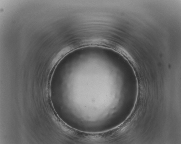 X0000062860994200601201724