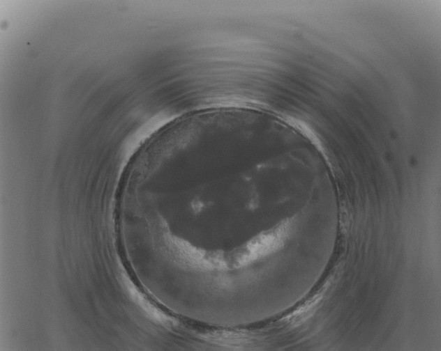 X0000062860995200601201724