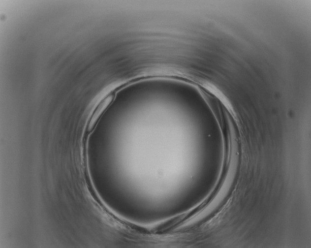 X0000062860996200601201724