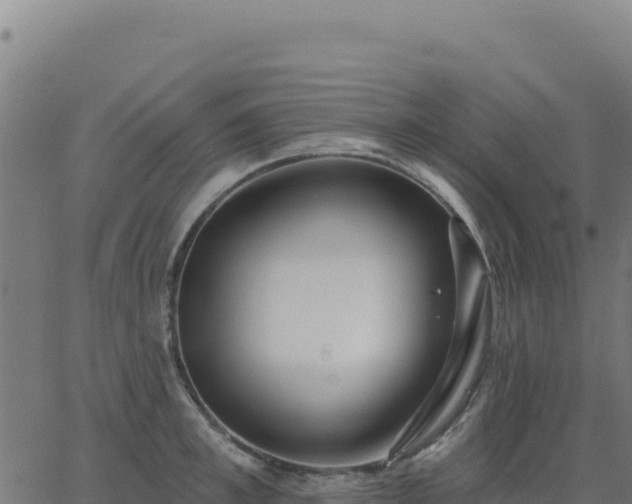 X0000062860997200601201724