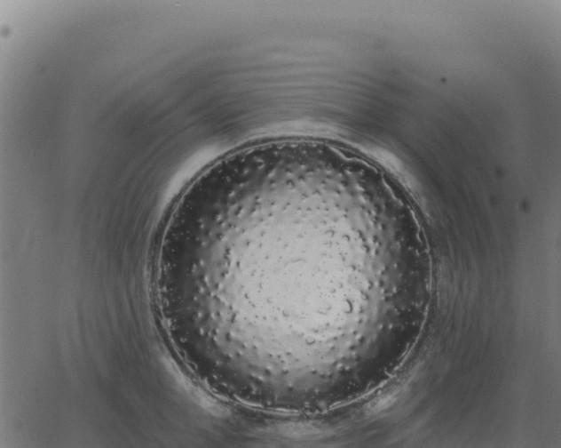 X0000062860998200601201724