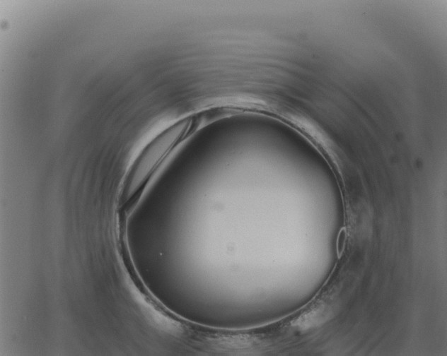 X0000062860999200601201724