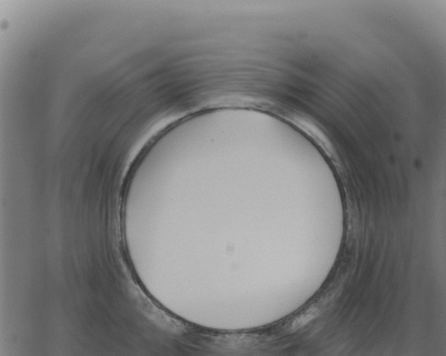 X0000062861000200601201724