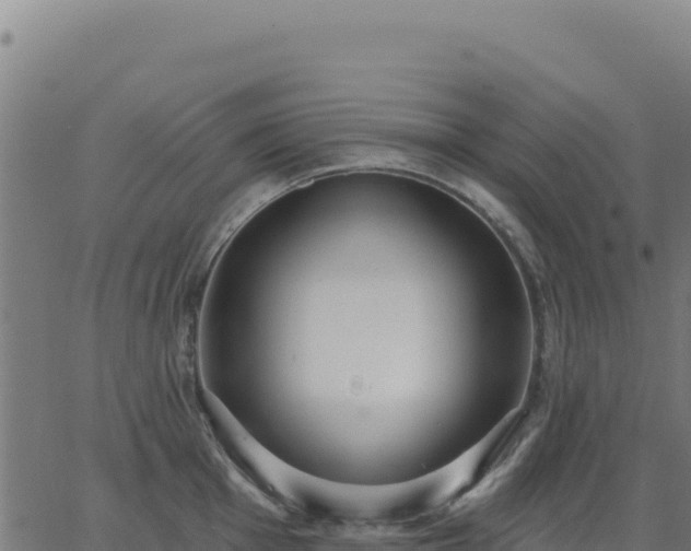 X0000062861001200601201724