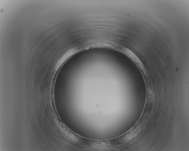 X0000062861002200601201724