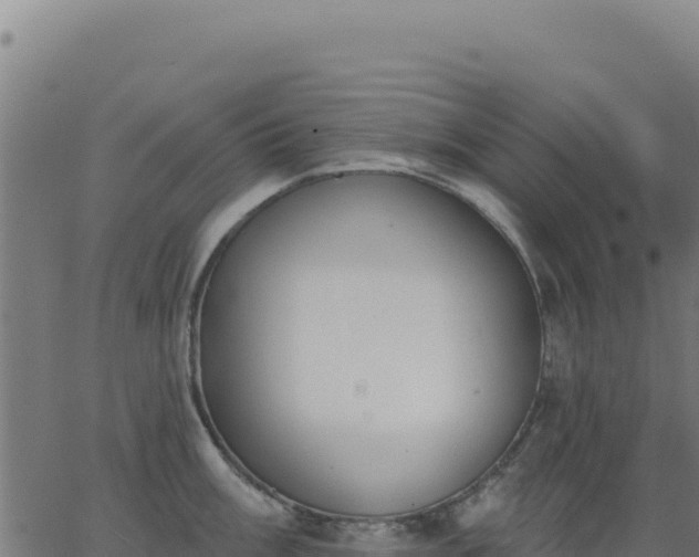 X0000062861003200601201724