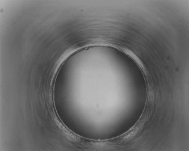 X0000062861004200601201724