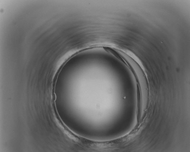 X0000062861005200601201724