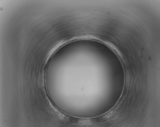 X0000062861006200601201724