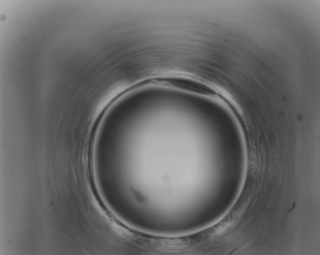 X0000062861007200601201724