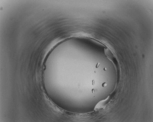 X0000062861008200601201724