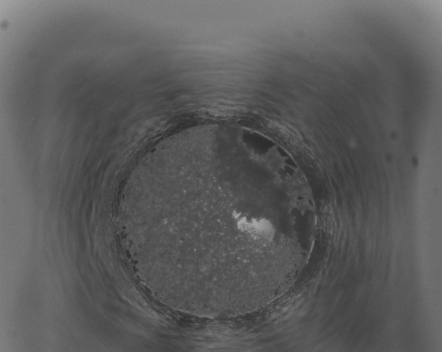 X0000062861009200601201723