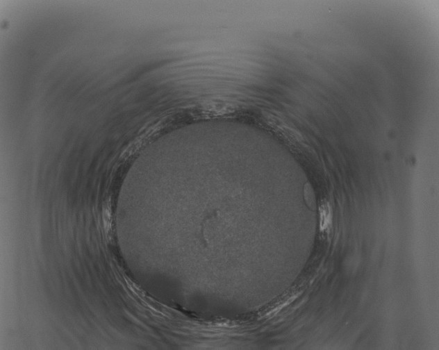 X0000062861011200601201723